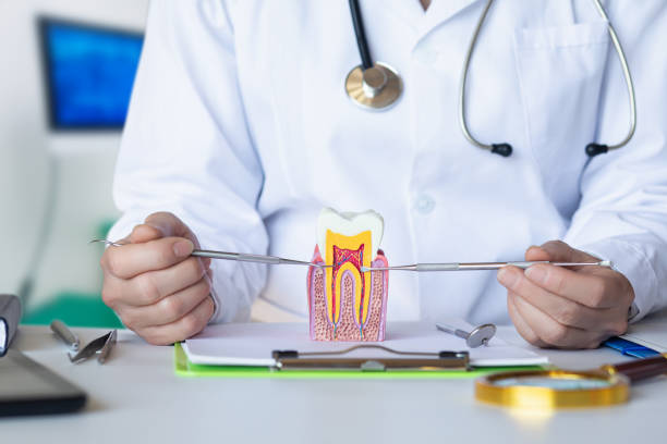 Best Emergency Tooth Extraction in Greenbrier, TN